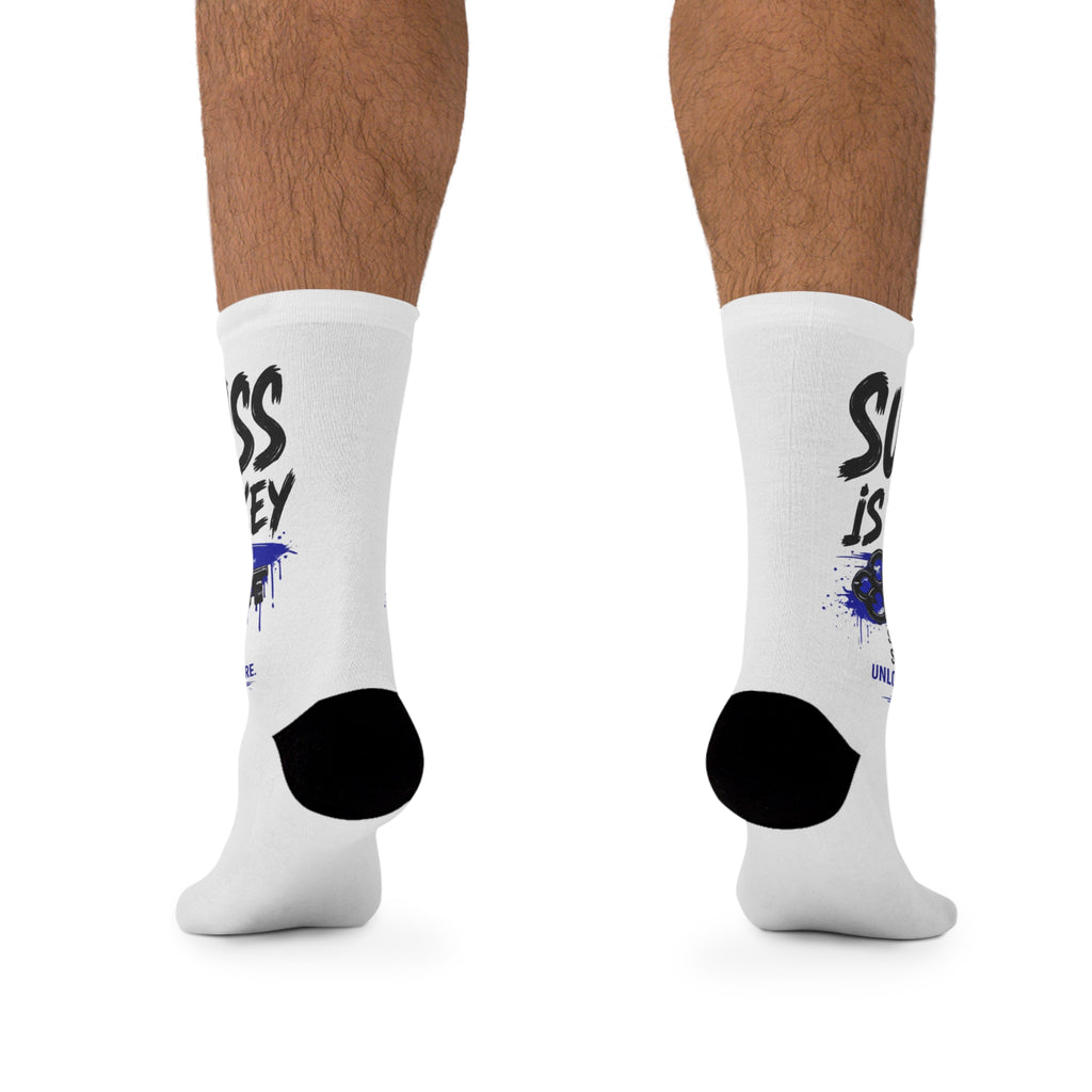 Success is the Key Poly Socks