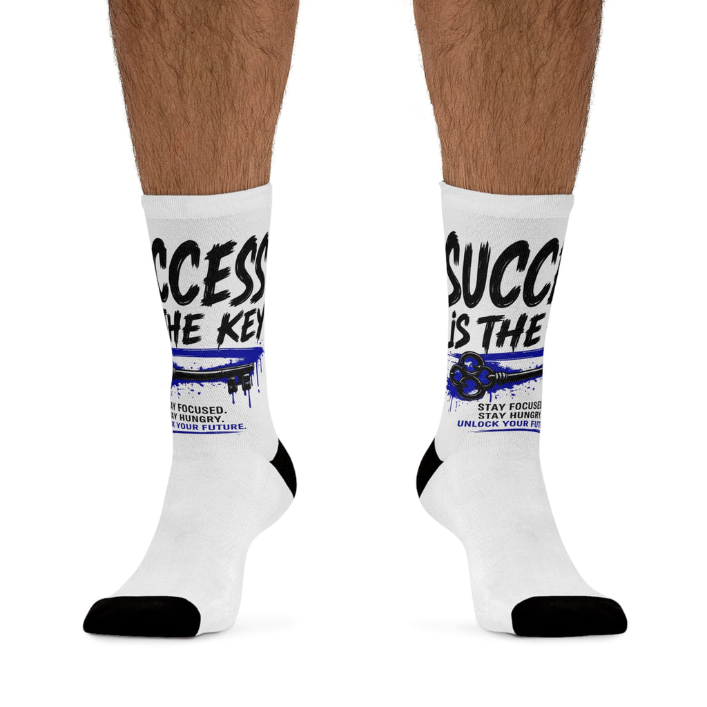 Success is the Key Poly Socks