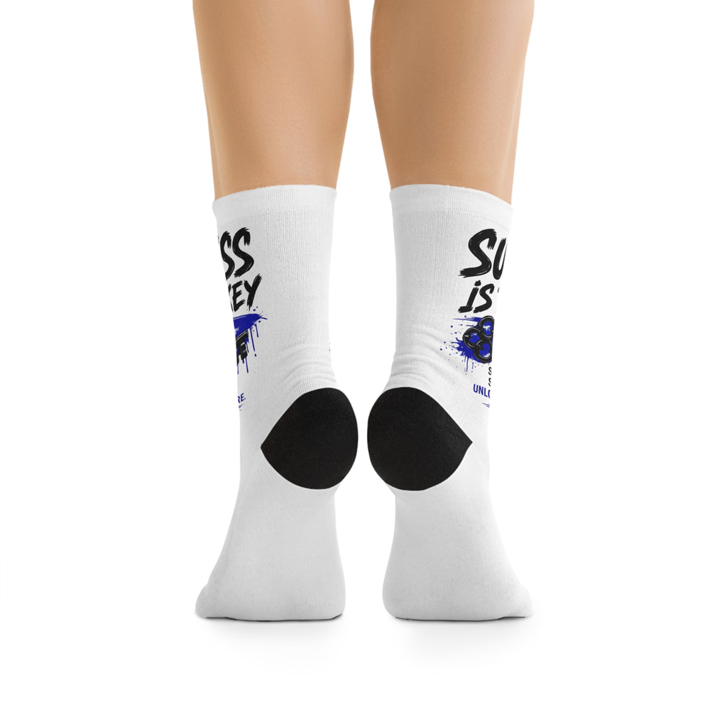 Success is the Key Poly Socks